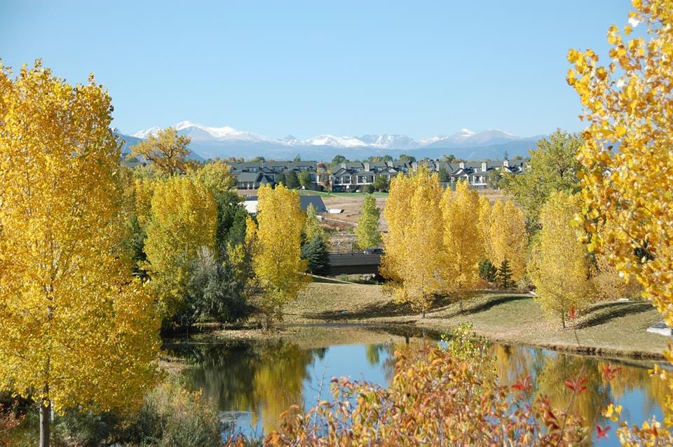 Golden cottonwoods around a pond in Broomfield